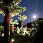 Balducci 치타디카스텔로