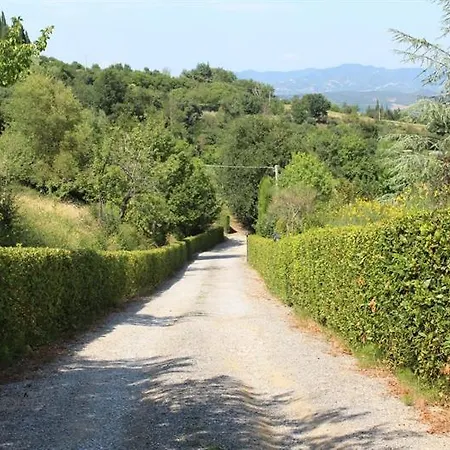 Balducci Città di Castello