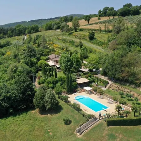 Balducci * Città di Castello