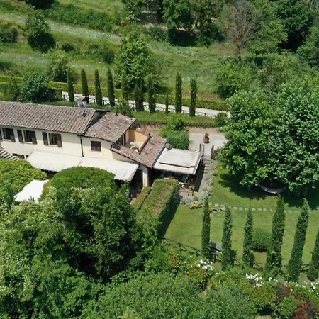 Balducci * 치타디카스텔로