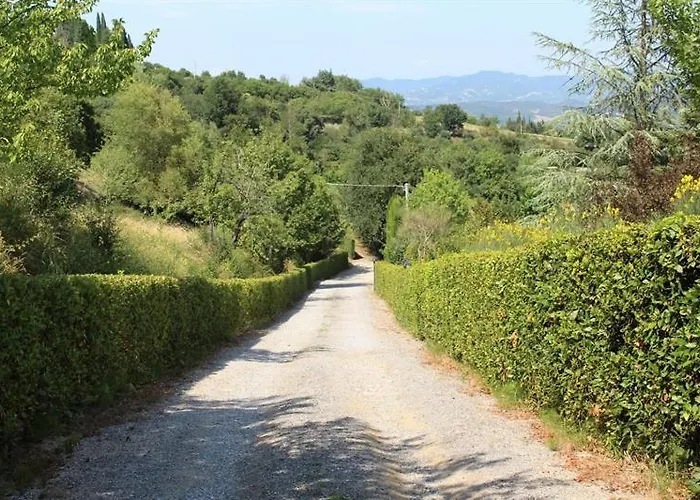 Balducci Città di Castello