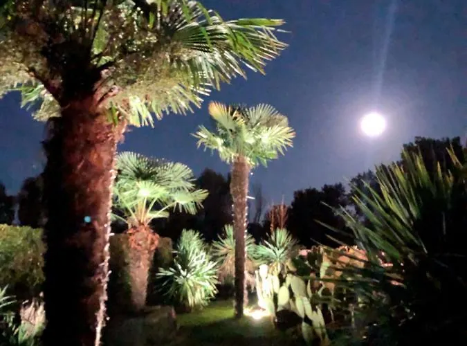 Balducci Città di Castello